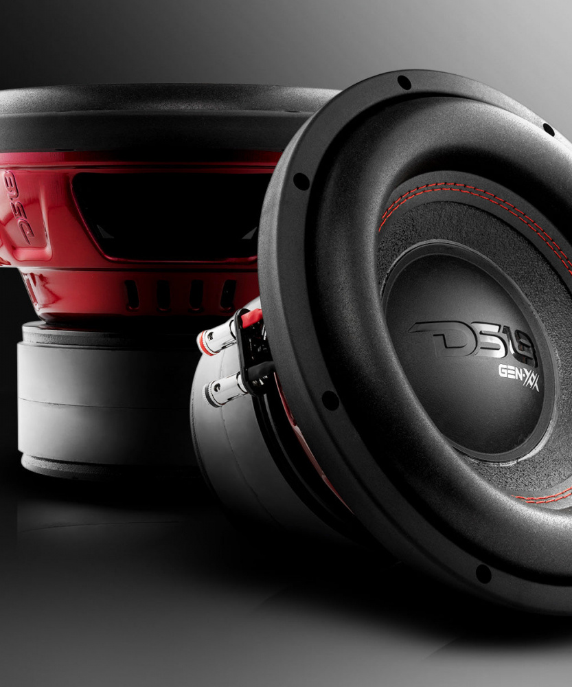 2er-Pack DS18 GEN-XX10.4DHE, 10-Zoll-Basstreiber