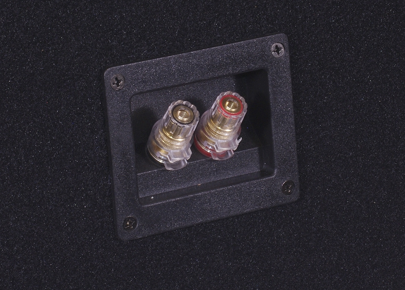 2er-Pack DS18 GEN-XX12.4DHE im Bassreflex-Gehäuse