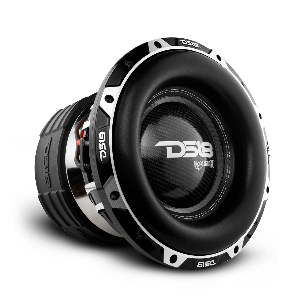 2er-Pack DS18 HOOLIGAN-X12.2DHE, unglaublich schwerer 12-Zoll-Bass