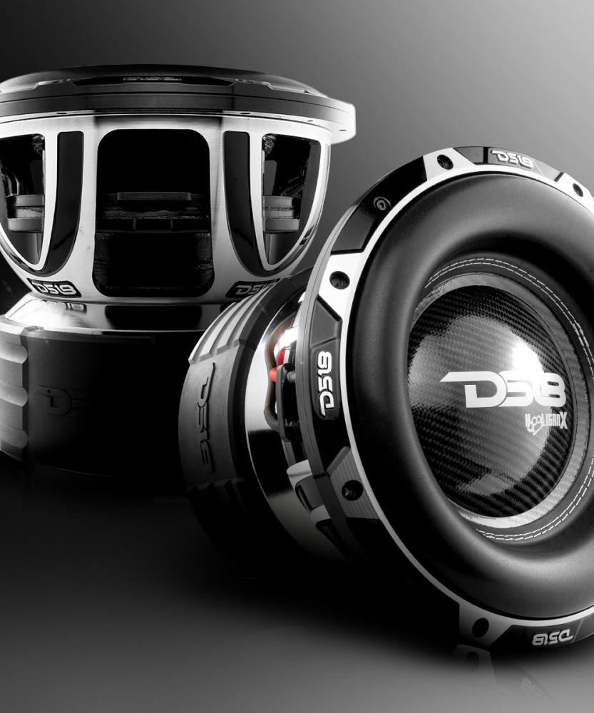 2er-Pack DS18 HOOLIGAN-X12.2DHE, unglaublich schwerer 12-Zoll-Bass