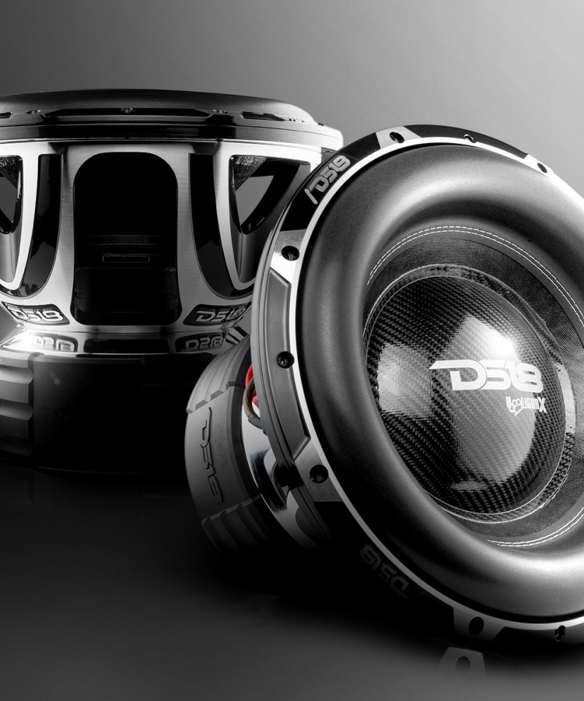 2er-Pack DS18 HOOLIGAN-X15.1DHE, unglaublich schwerer 15-Zoll-Bass