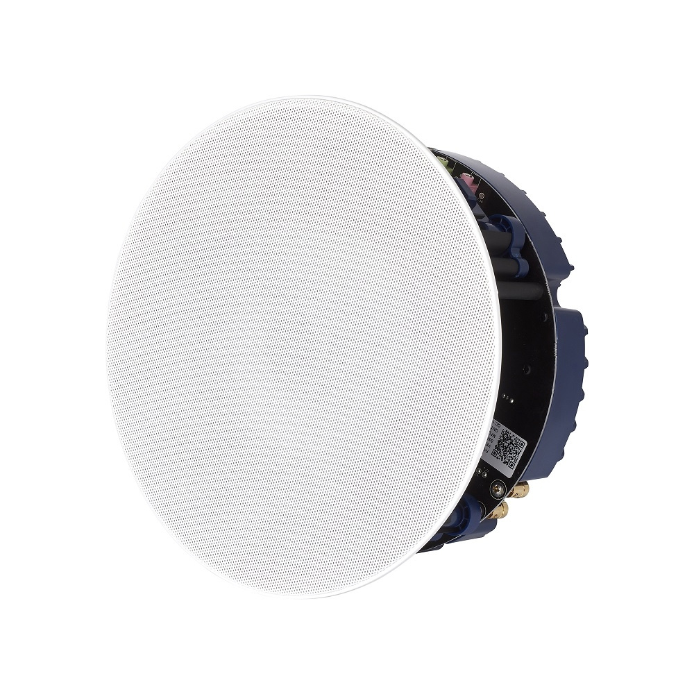 Lithe Audio Bluetooth-Deckenlautsprecher, Master und Passive