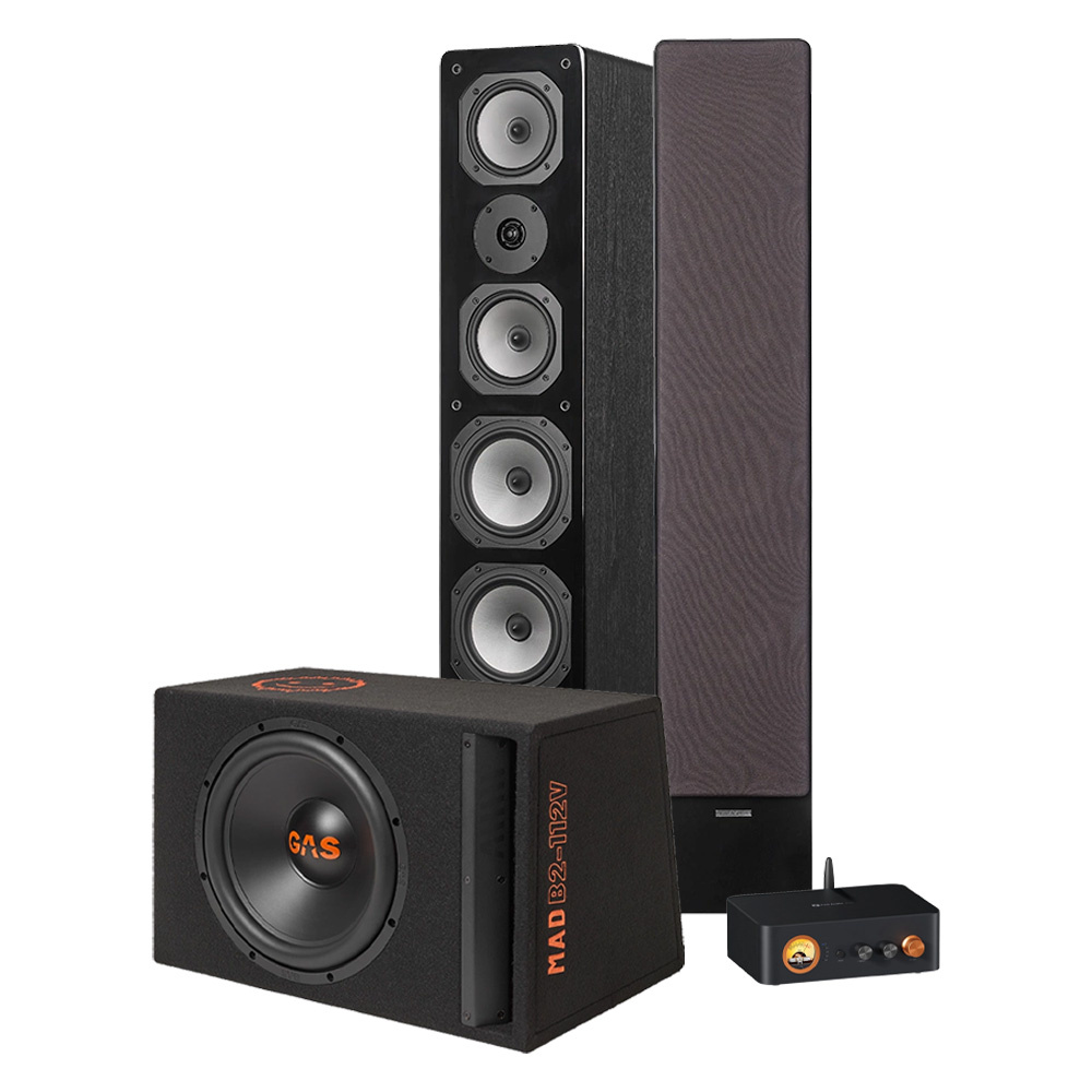 Dynavoice M-65 EX v4 mit Subwoofer und Verstärker, 2.1-Partypaket