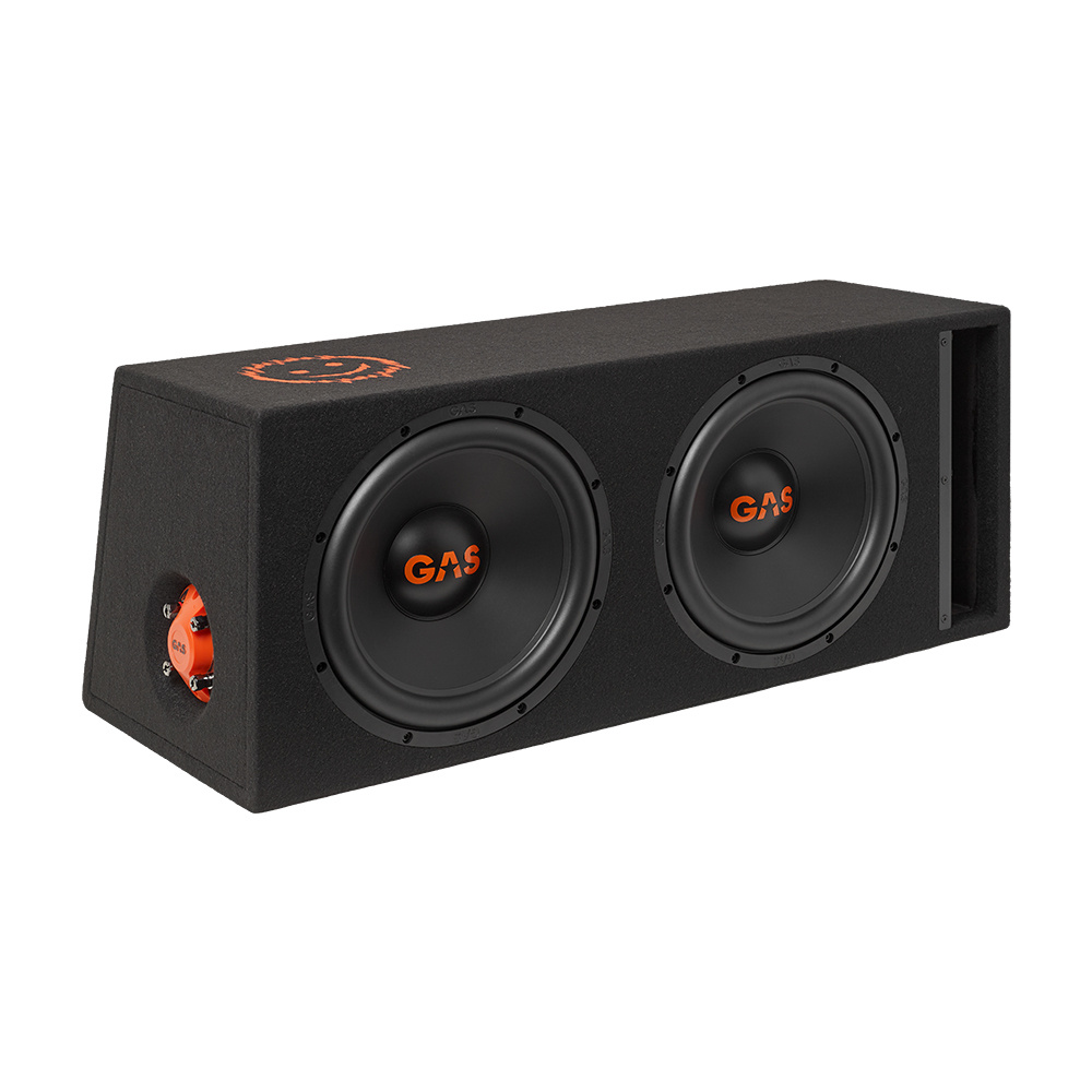 GAS MAD B2-212V Bass-Set & GAS MAD PB2-46 Lautsprecherbrett mit Endstufe