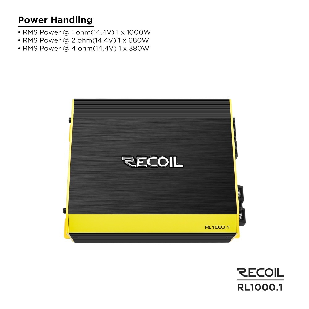 GAS MAD B2-212V mit Recoil RL1000.1, 2x12