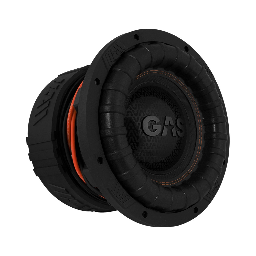 Bassreflex-Comp-Gehäuse 2x10 Zoll mit 2x GAS MAX S2-10D1