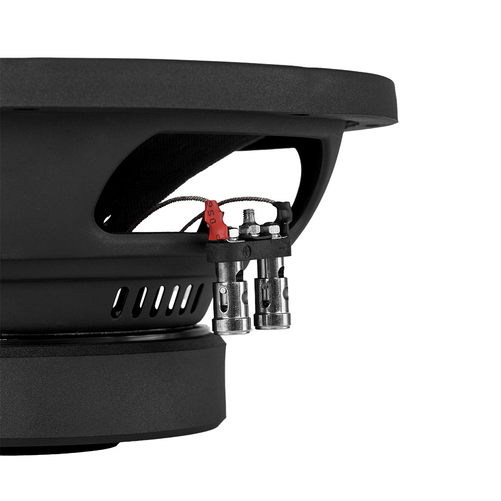 2er-Pack DLS Performance PE10.D2, 10-Zoll-Bass
