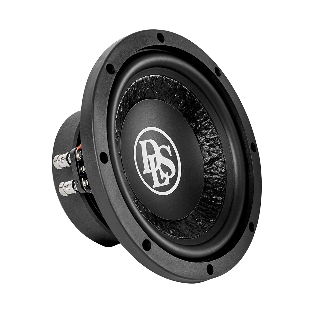 4er-Pack DLS PE8.D2 mit PE1.1000, 4x8 Zoll Basspaket