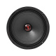 Bass Habit PL212A mit Rebel-Raggarplanke und Verstärker Bass Habit PL212A mit Rebel-Raggarplanke und Verstärker