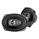 Bass Habit Rebel, Front- und Hecklautsprecher Bass Habit Rebel, Front- und Hecklautsprecher