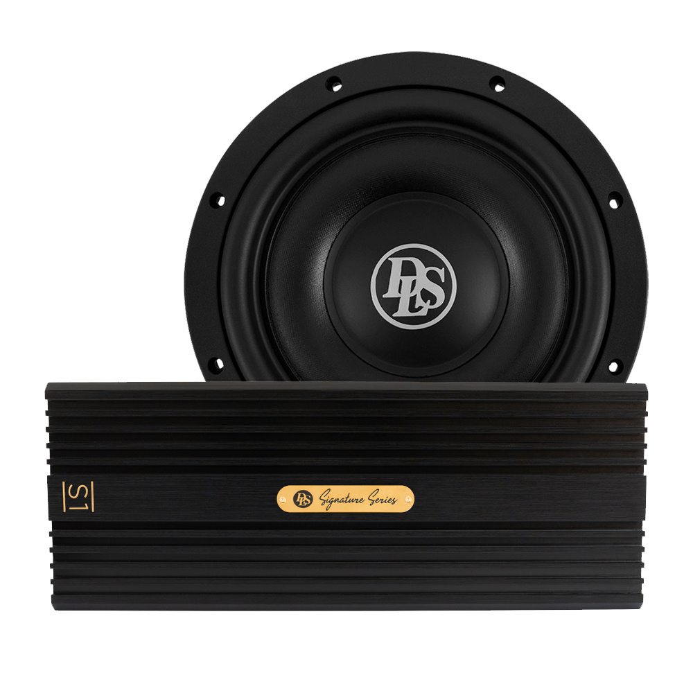 DLS Signature S1 und Reference RCS10.D2, Basspaket