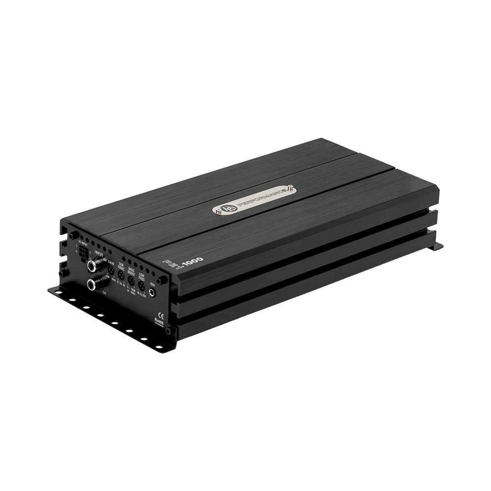 DLS RCW12.D2 mit PE1.1000, 1x12 Zoll Basspaket