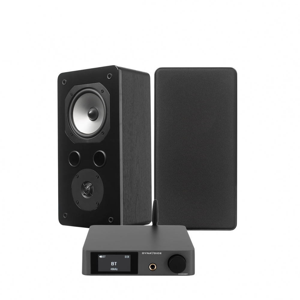 Dynavoice CA802BT & Challenger S-5S, Stereo-Paket