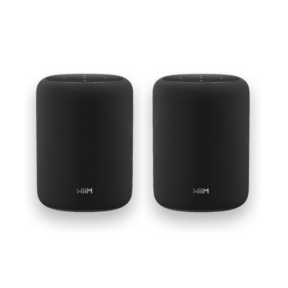 2er-Pack WiiM Sound Lite Smart-Lautsprecher, schwarz