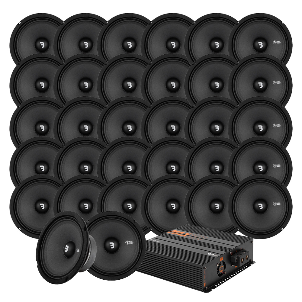 32er-Pack Bass Habit SP165M mit GAS MAX PA1-1500.2DZ1