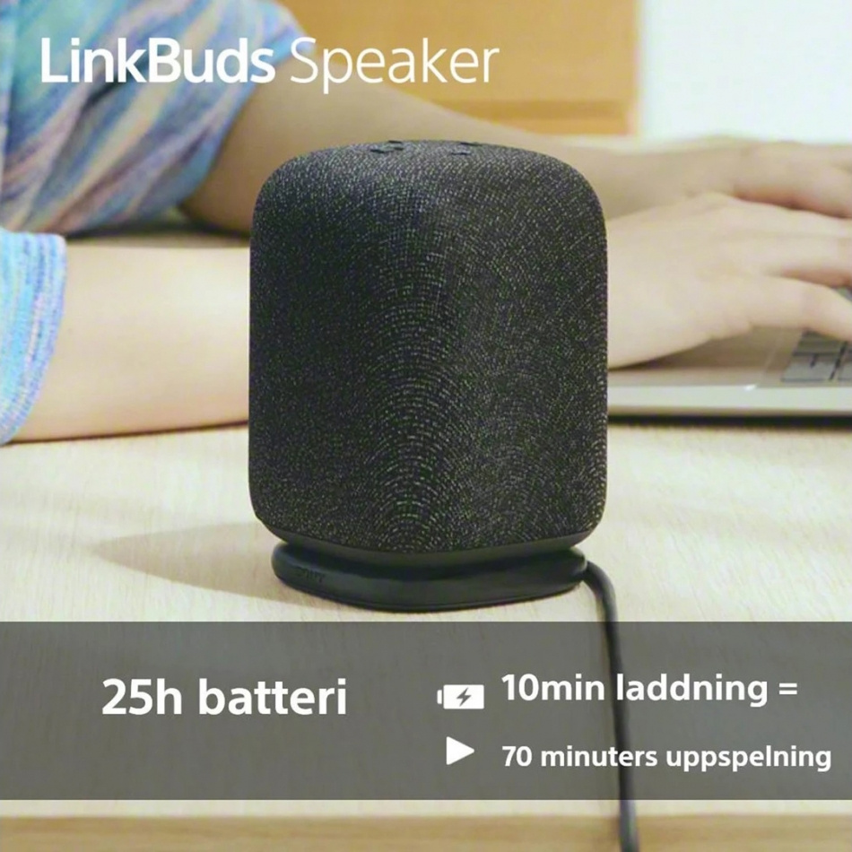 2er-Pack Sony LinkBuds Speaker kabelloser tragbarer Lautsprecher mit Bluetooth, schwarz