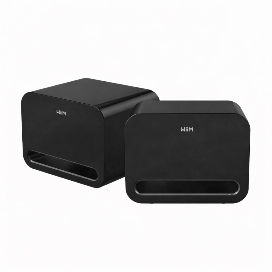2er-Pack WiiM Sub Pro kompakter kabelloser Subwoofer, schwarz