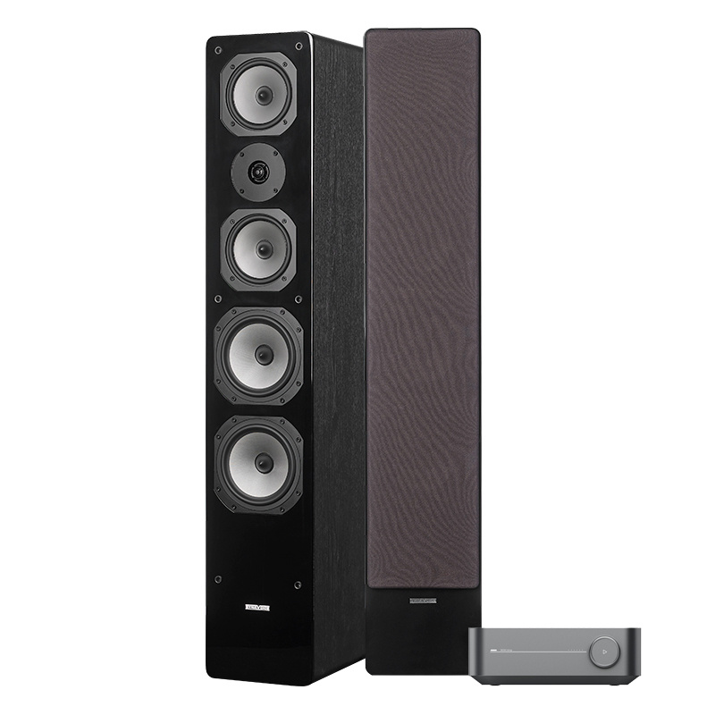 WiiM Amp & Dynavoice Challenger M-65, Stereo-Set