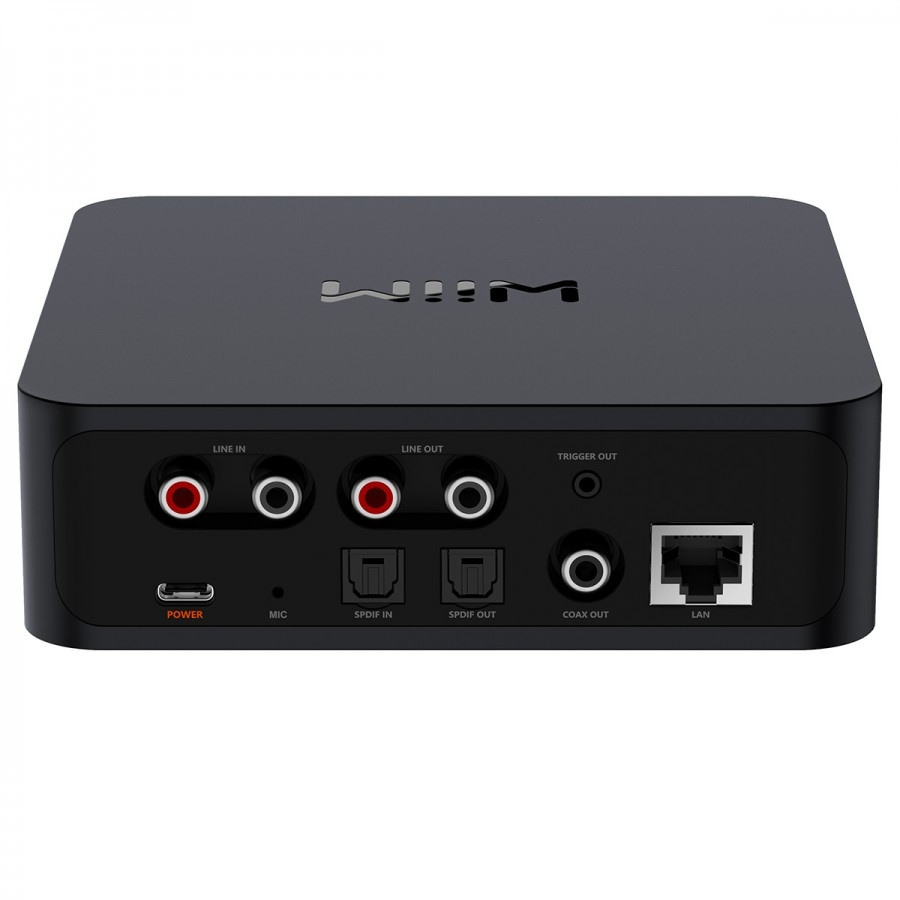 WiiM Pro mit WiiM Voice Remote Fernbedienung