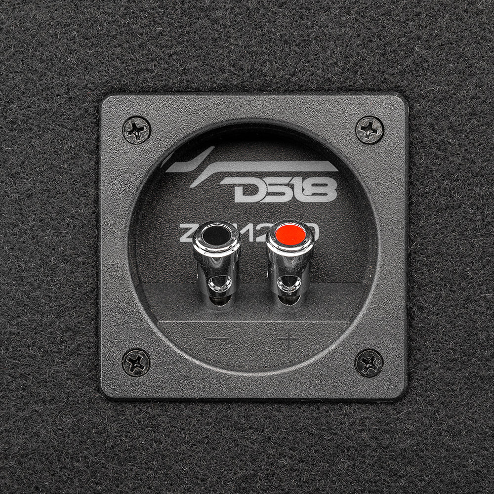DS18 ZR112LD und GAS MAD A2-1200.1DFL, Bass-Set