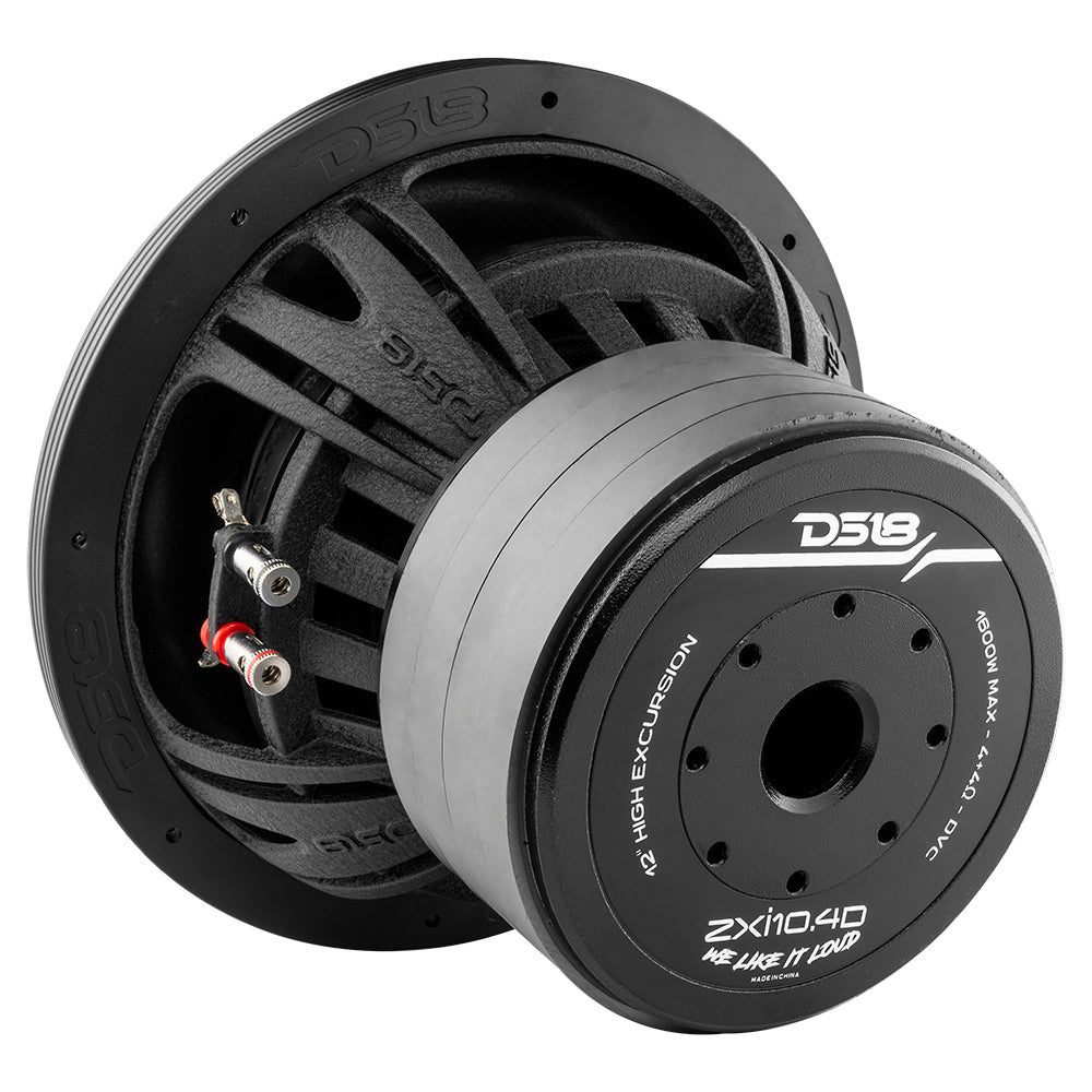2er-Pack DS18 ZXI10.4D, langhubiges 10-Zoll-Basstreiber