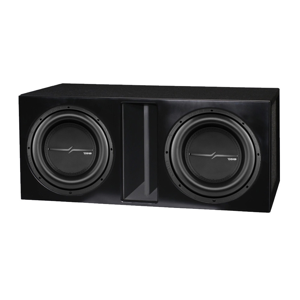 Portiertes 2x12-Zoll-Bassgehäuse mit 2x DS18 ZXI12.4D